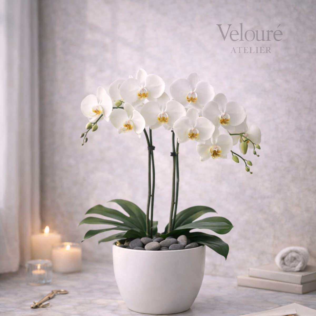 Минимал Орхид — photo 1 of 2